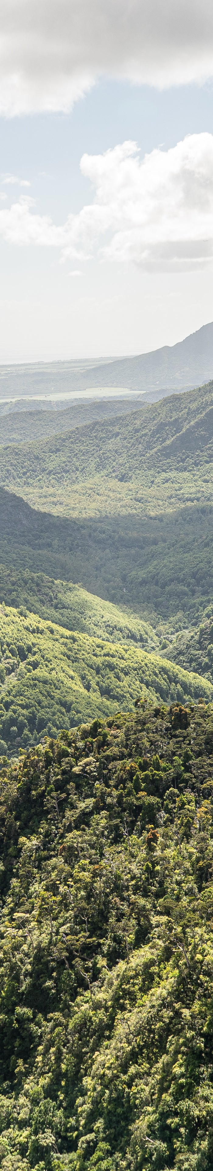 <h2>Terra Africa </h2>